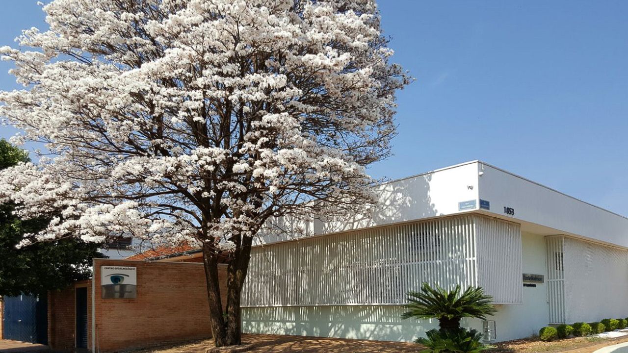 Paulo Rodolfo Barbisan-9