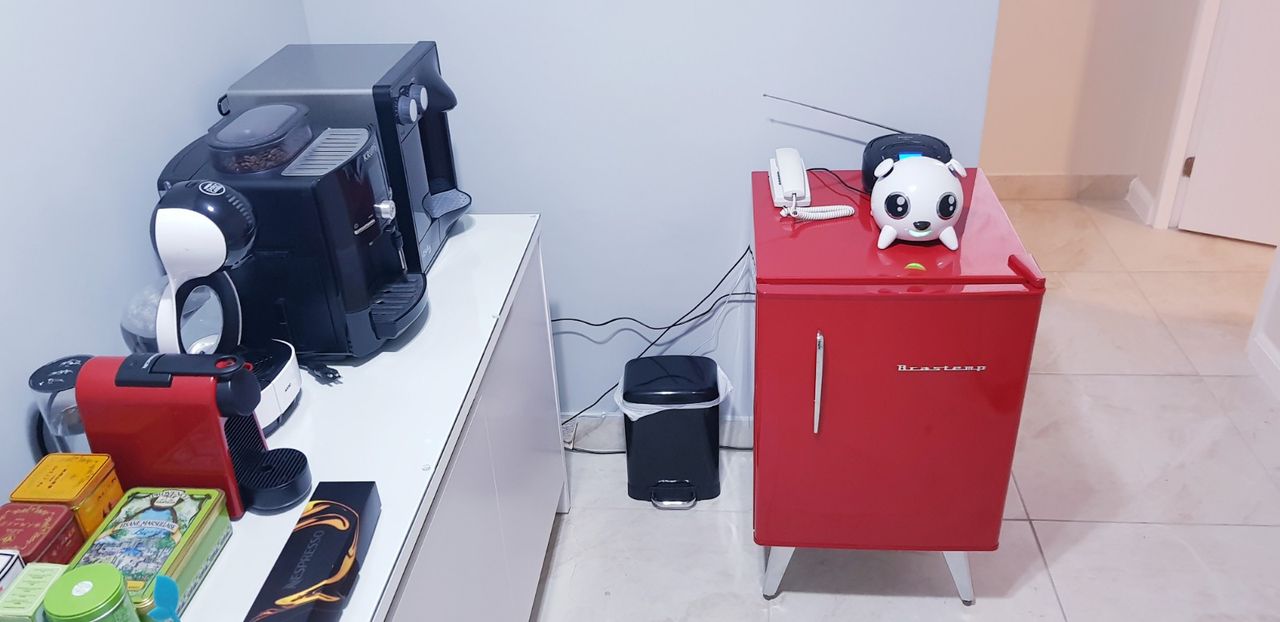 Domingos Fernandes-7