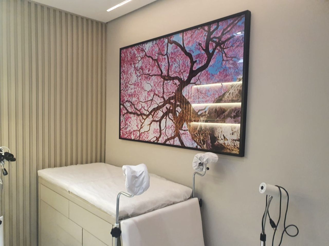 Eduarda Schwengber Welter-0