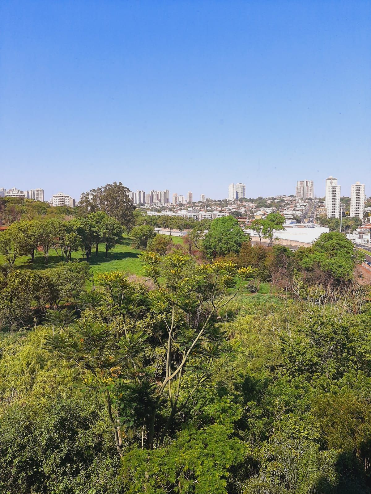 Luzania S. Martins-4