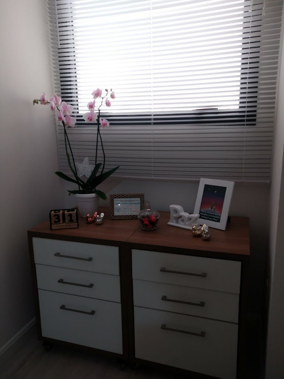 Patricia Monteiro Mantovani-12