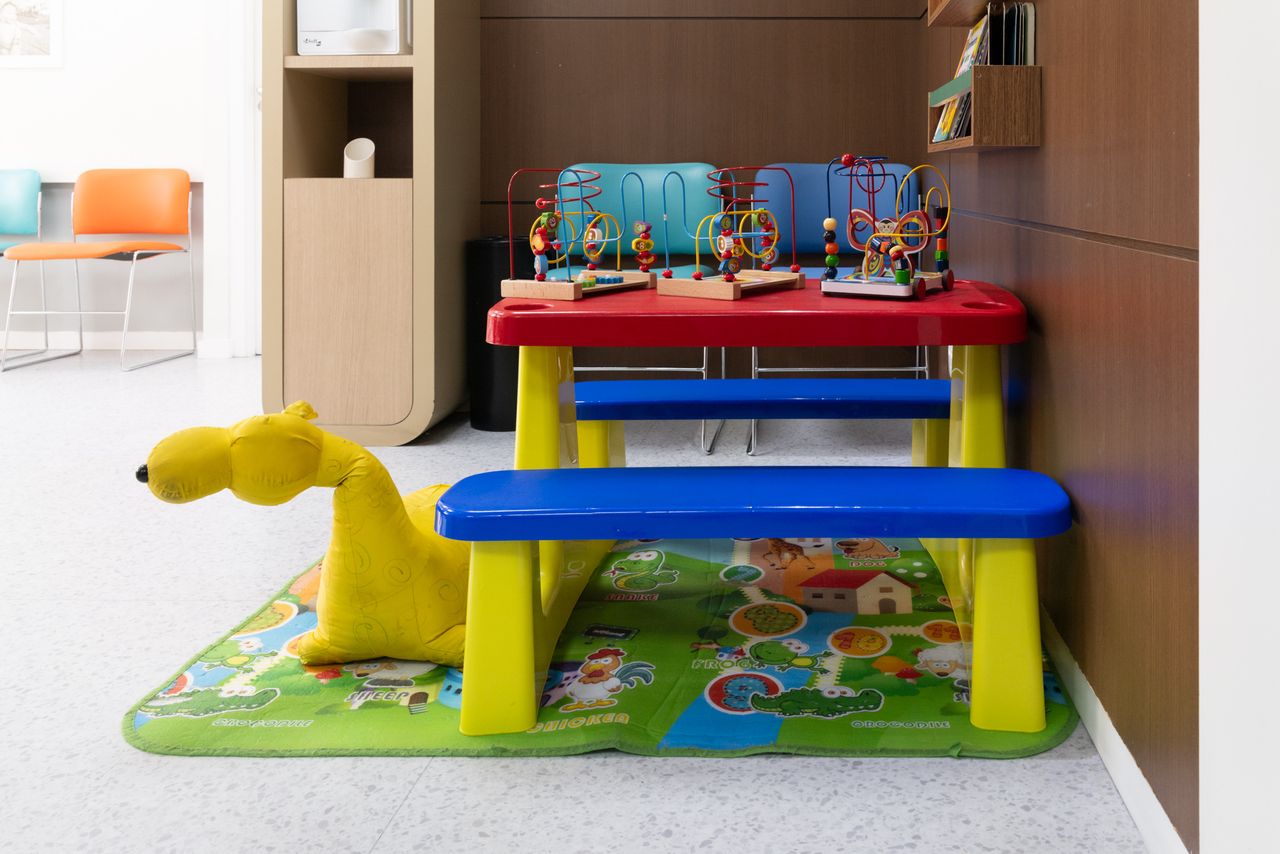 Ana Paula Dias Abrahao-11