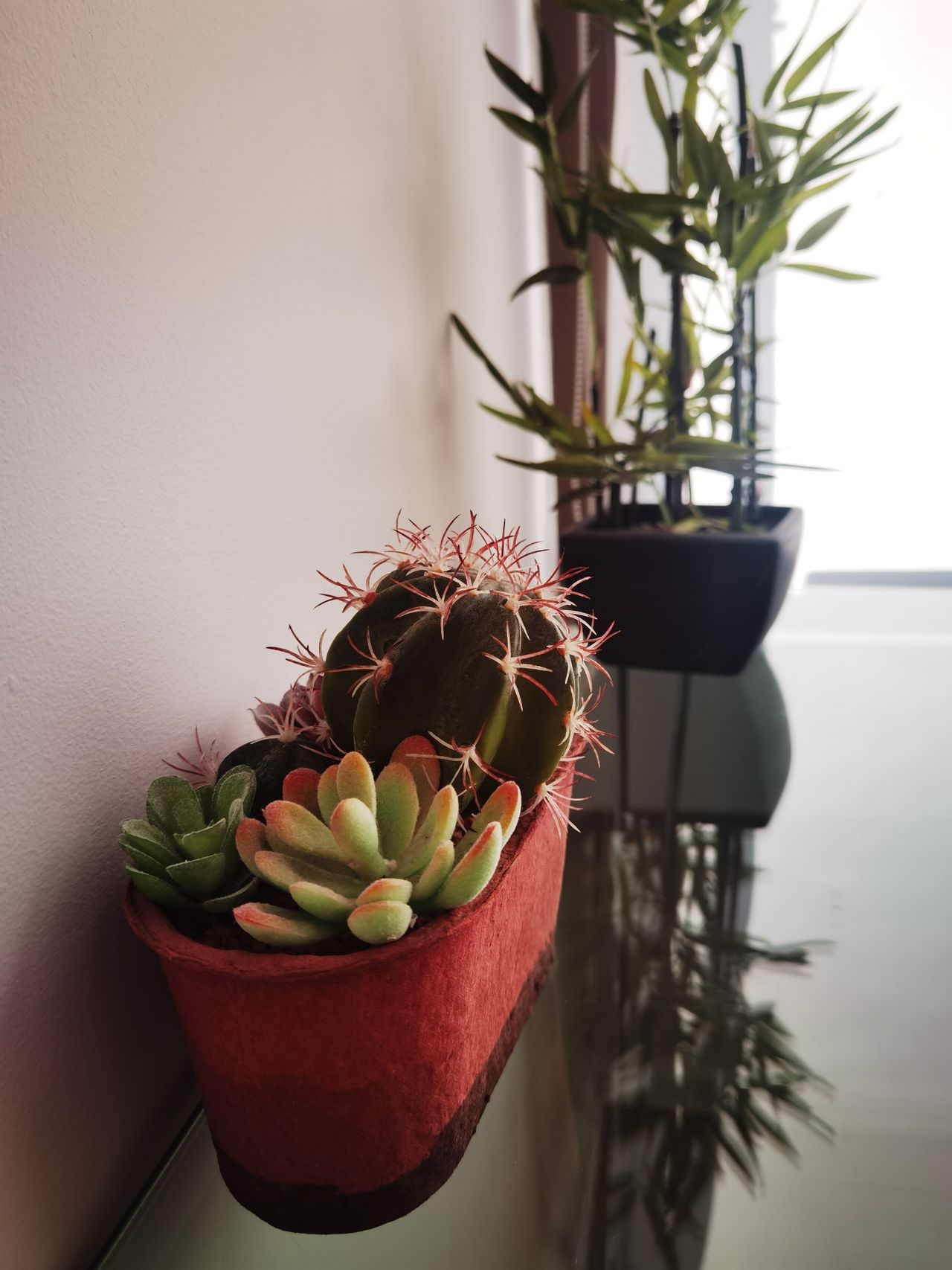 Andrea Belén Sazo Arellano-6