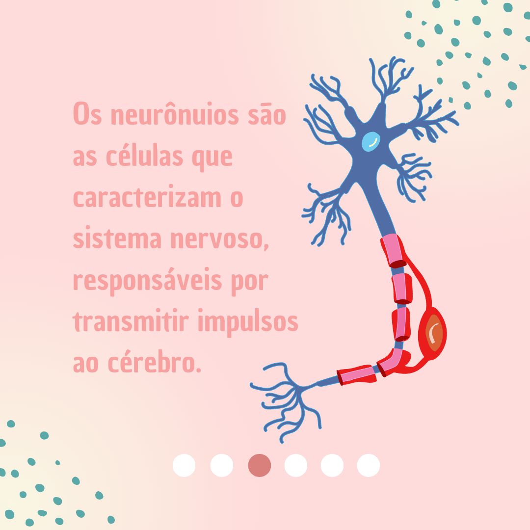 Rafaela De Arruda Custódio-18