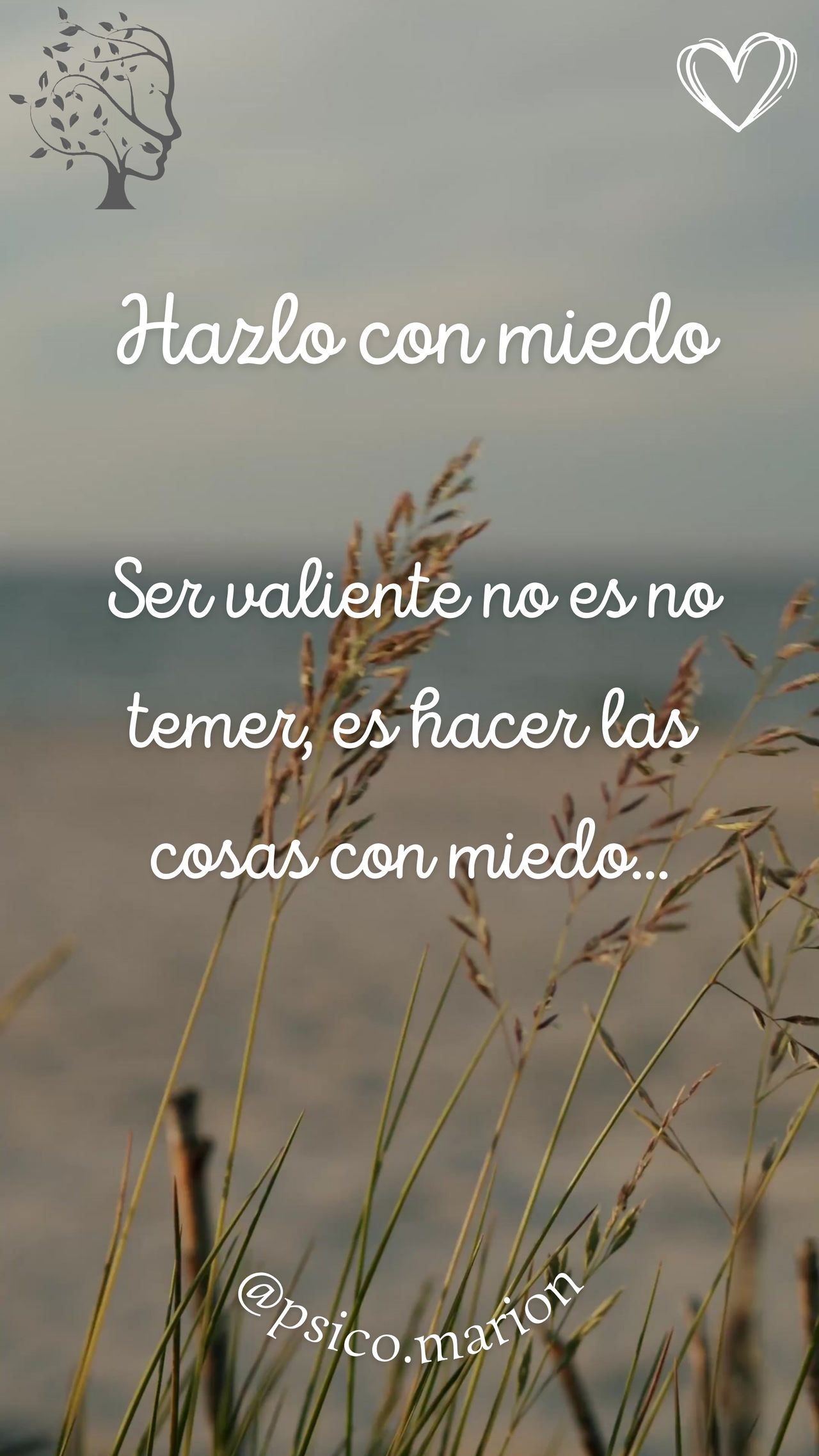 Marion Meneses Guerra-9