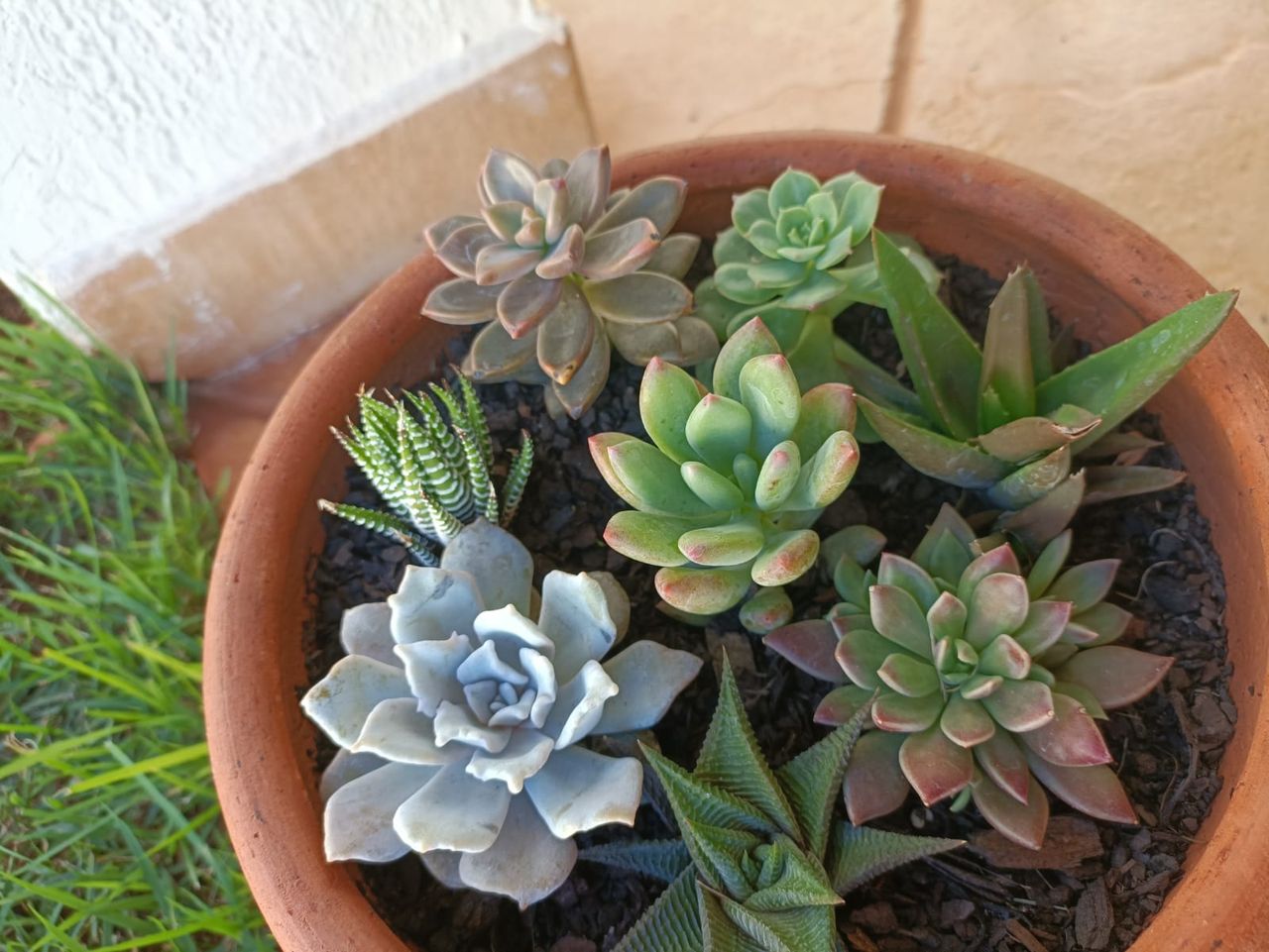 Débora Rivelli Benfatti-1