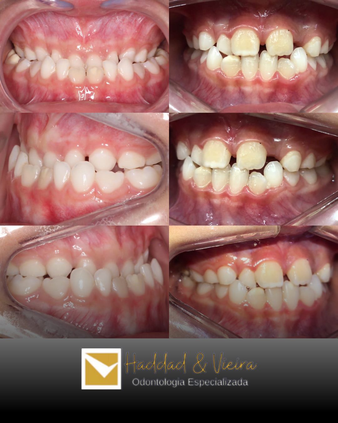 Juliana Do Amaral Haddad Vieira-0