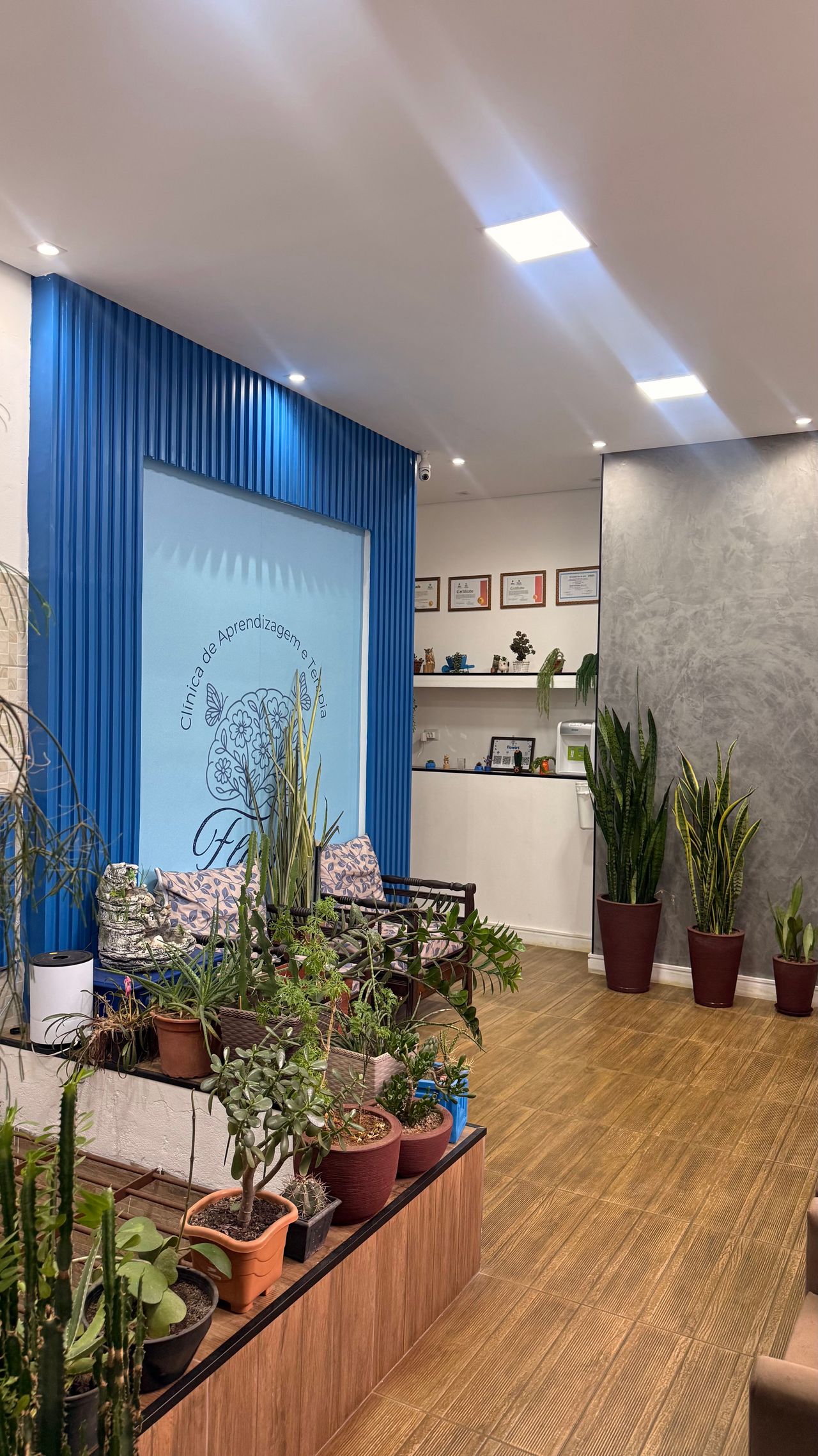 Jandira  Carvalho Frederick-1