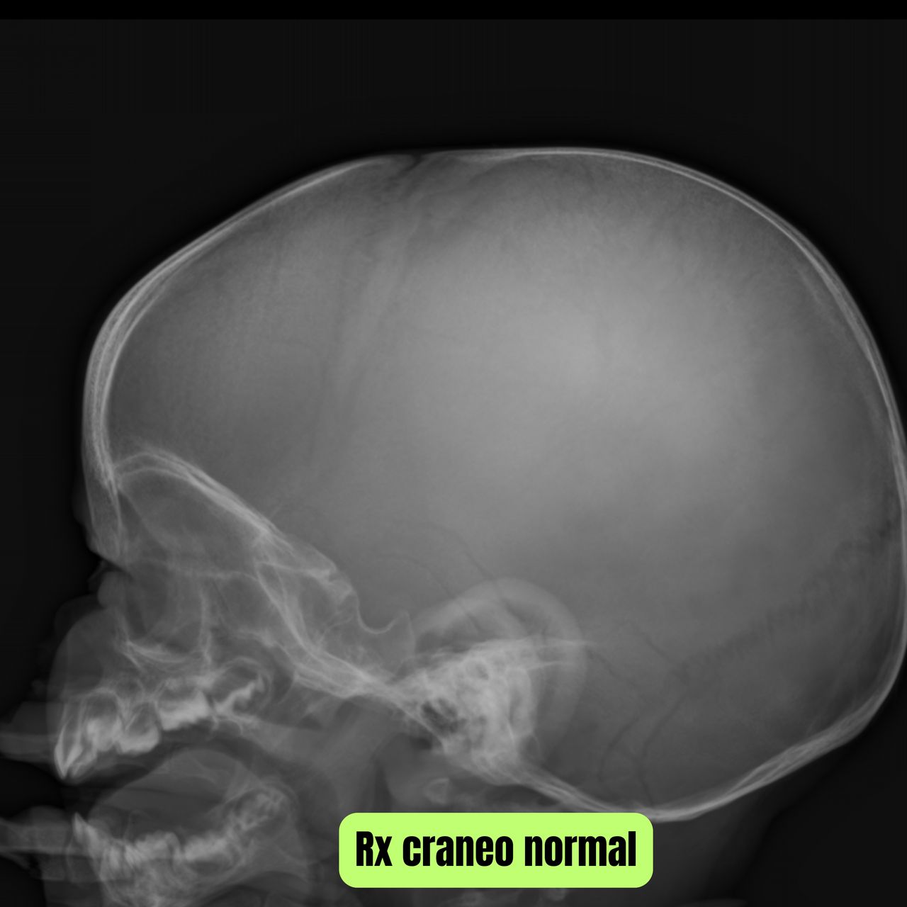 David Tafur Muñoz-1039