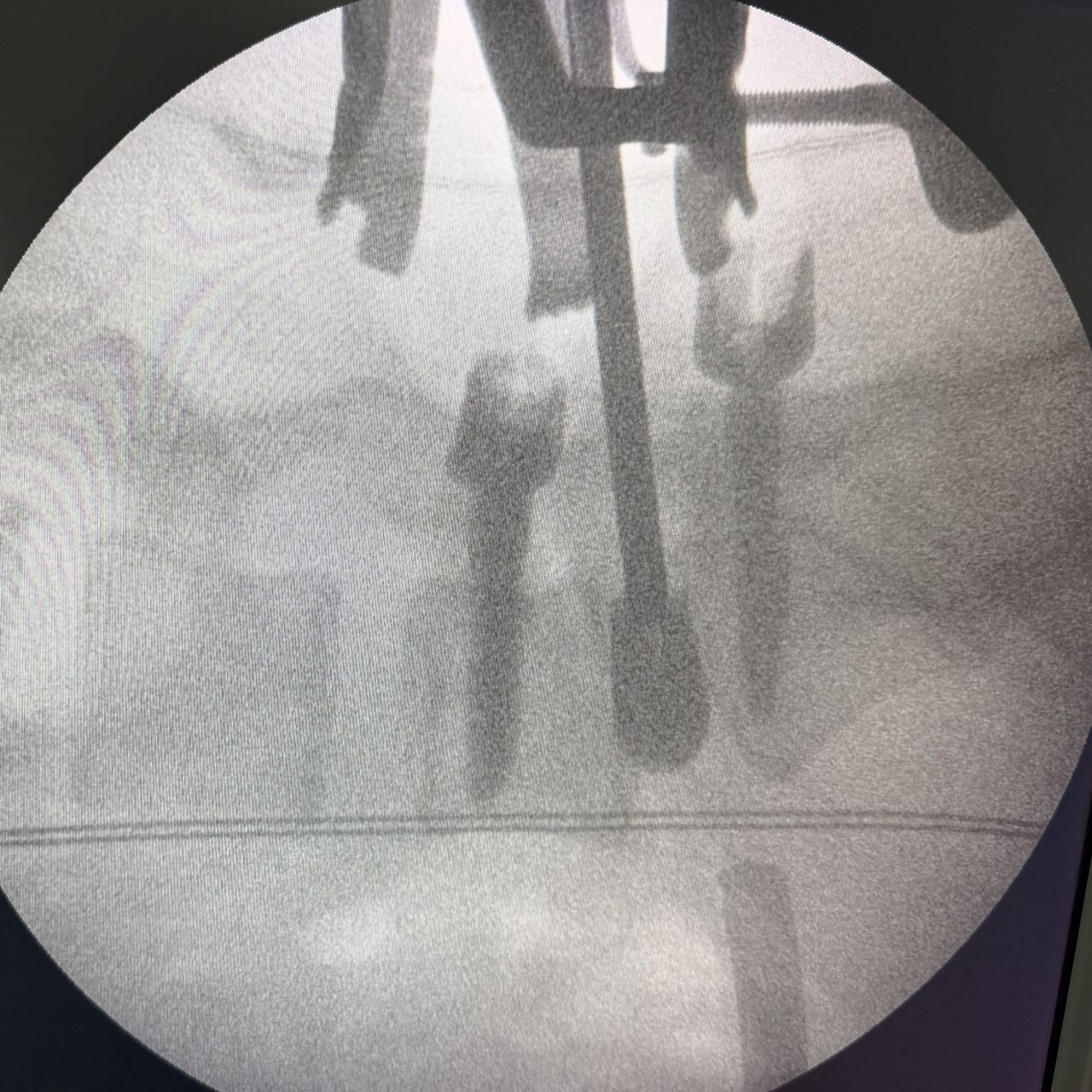 David Tafur Muñoz-2384