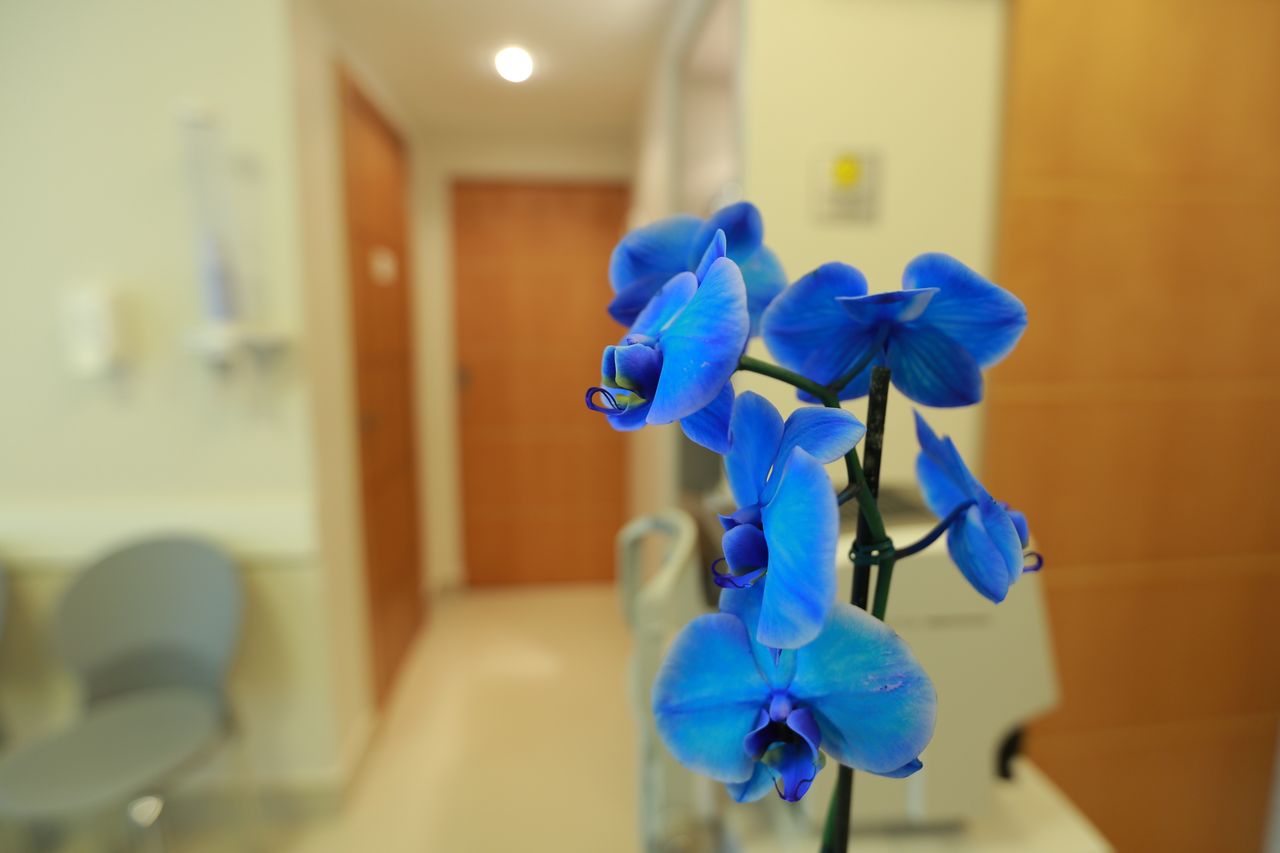 Lívia Pereira Diniz Isac-6