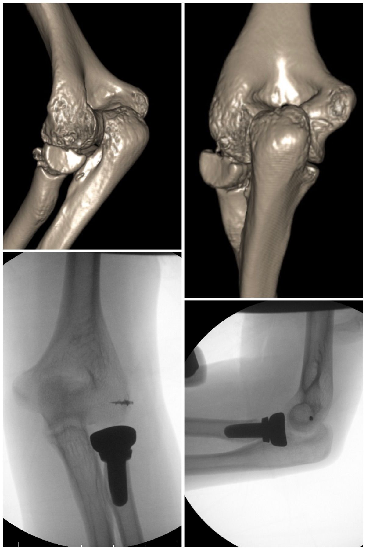 Carlos Moreno Castillo-17