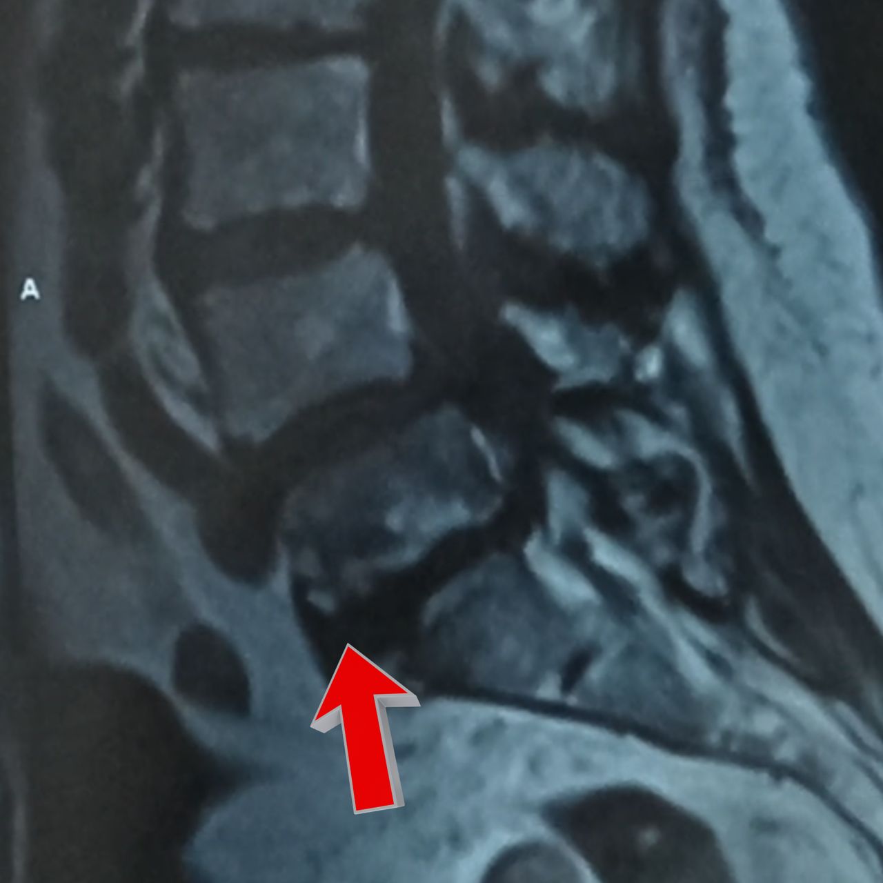 David Tafur Muñoz-1573