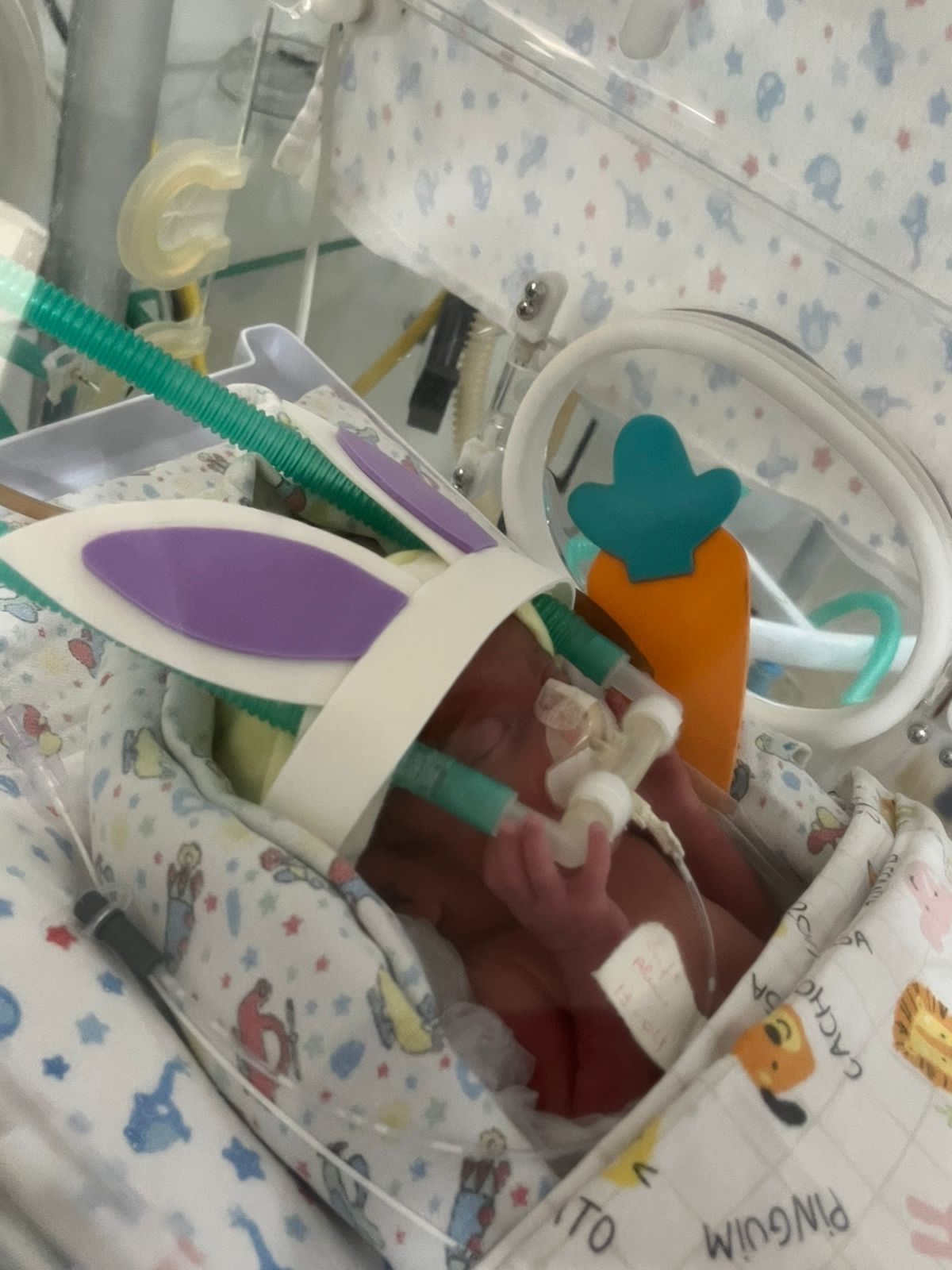 Daniella Cristina Demes-36