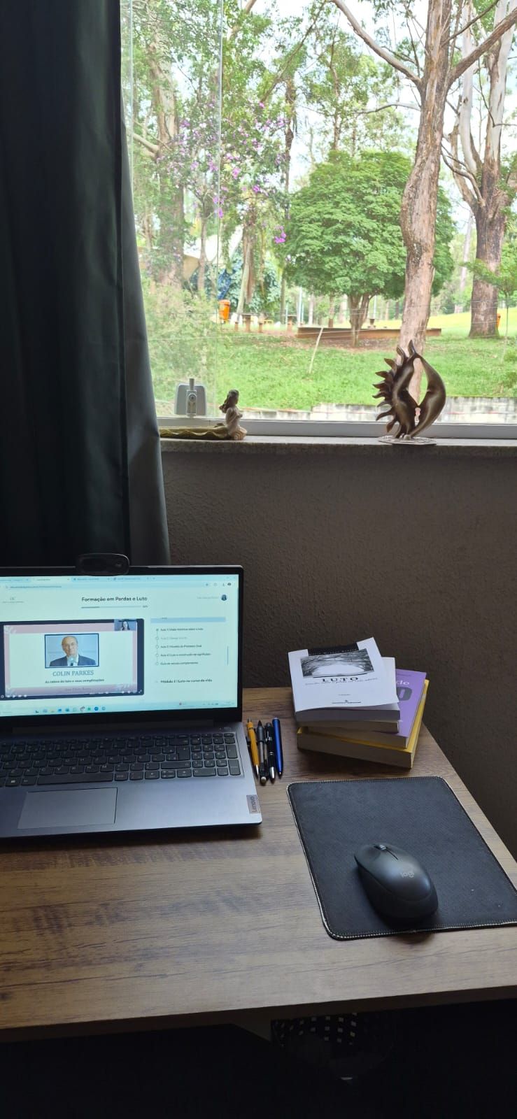 Solange Regina Ribeiro-2