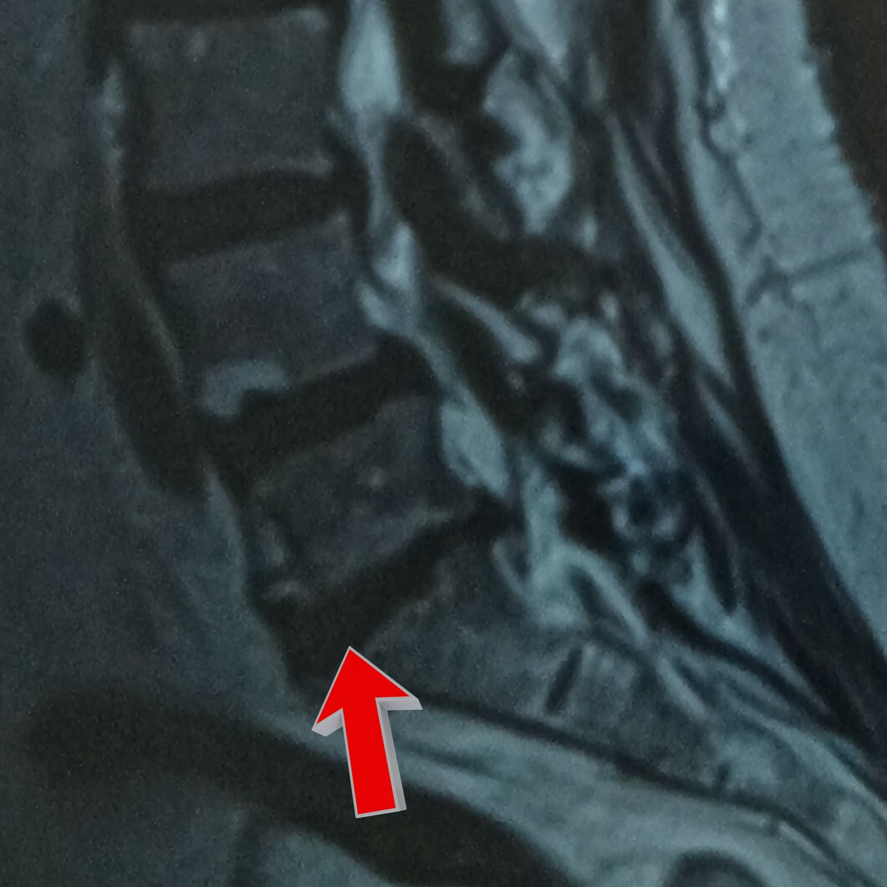 David Tafur Muñoz-1386