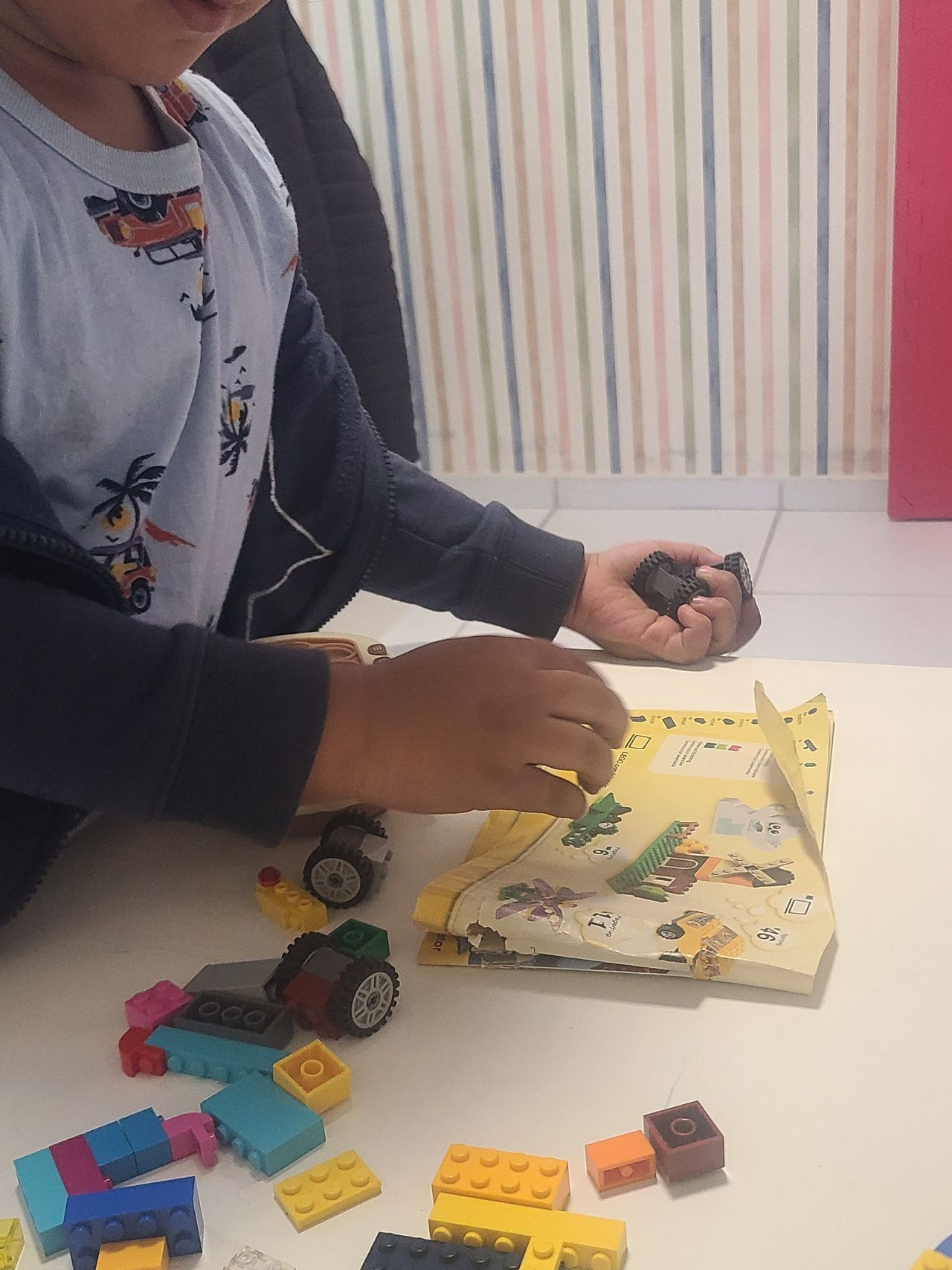 Josiane Aparecida  De Magalhães Almeida Santos-0