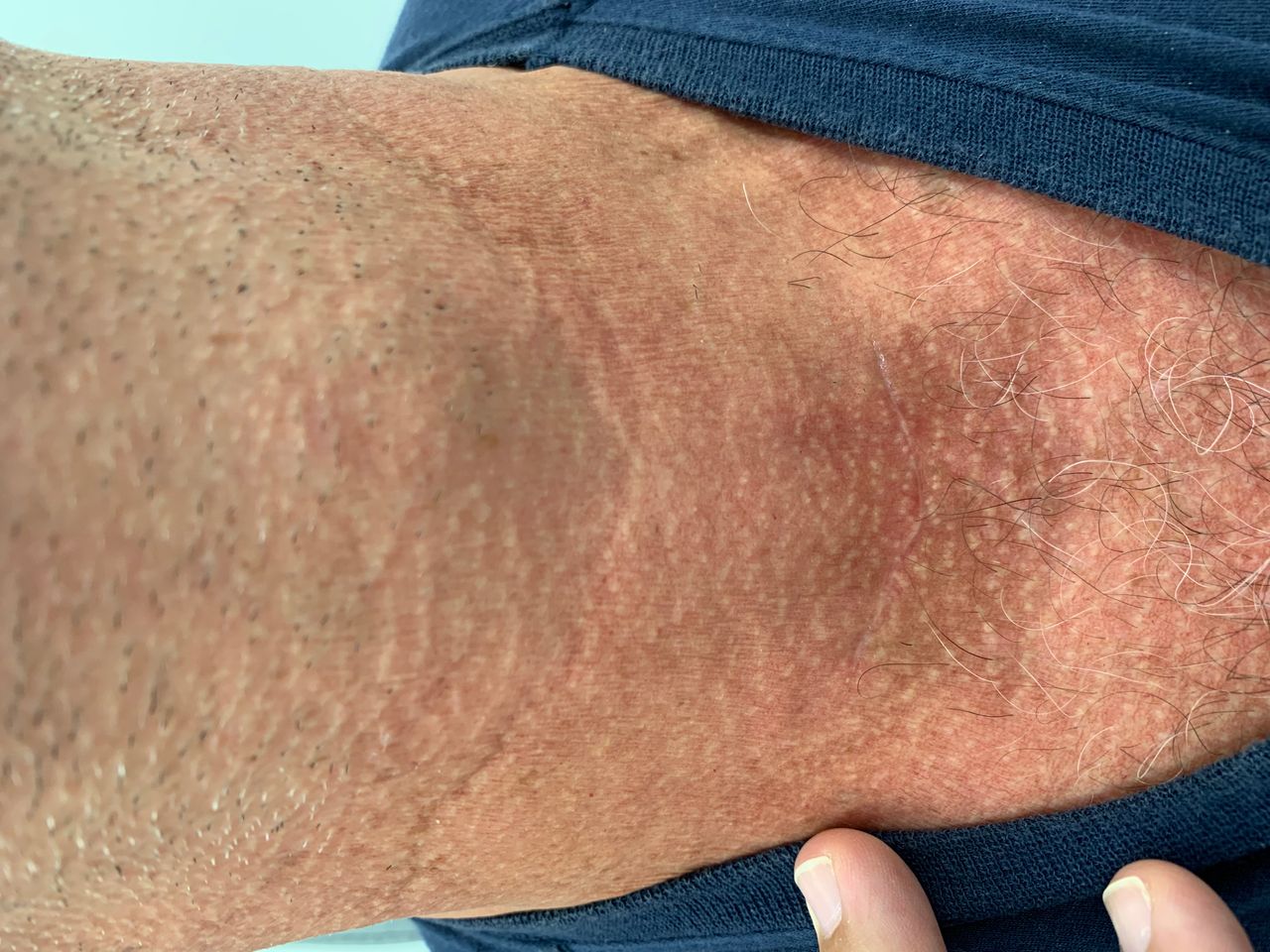 Giulianno Molina De Melo-6