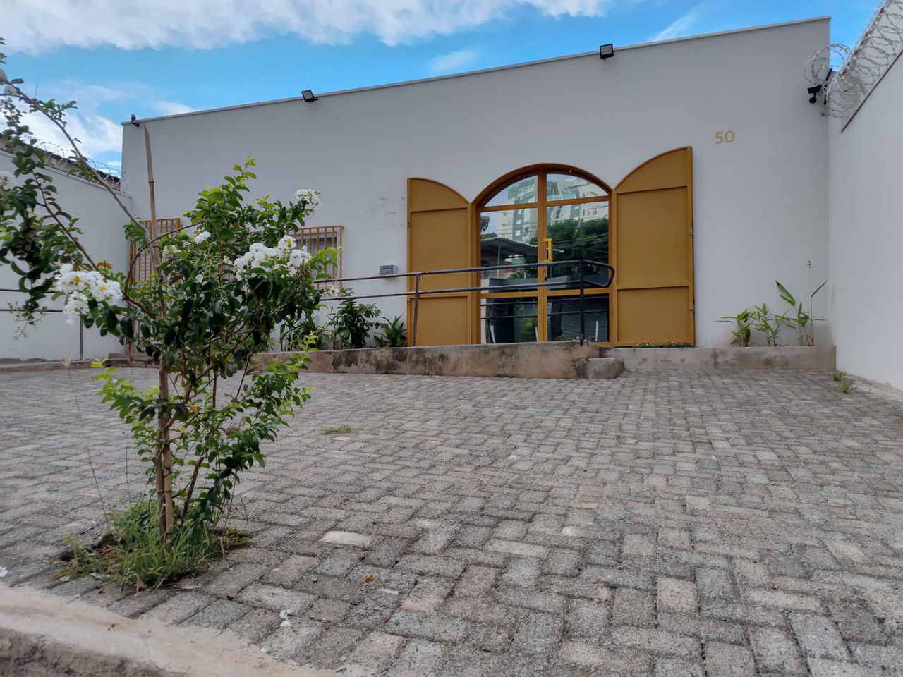 Tiago Castro E Couto-2