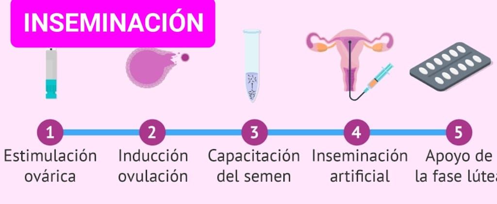 Nancy Angeles Villarreal-9