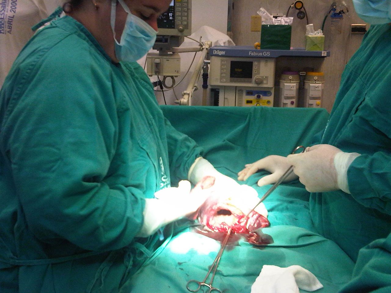 Carla  Lozada Lozada-4