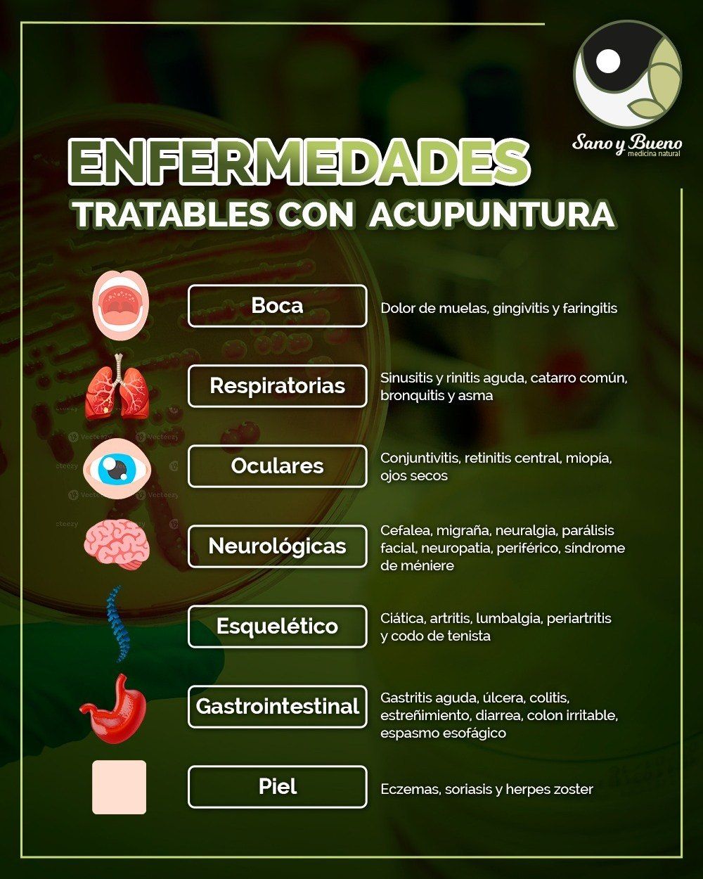 Guillermo Portugal-19