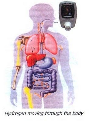 Antonio Carlos Biel-11