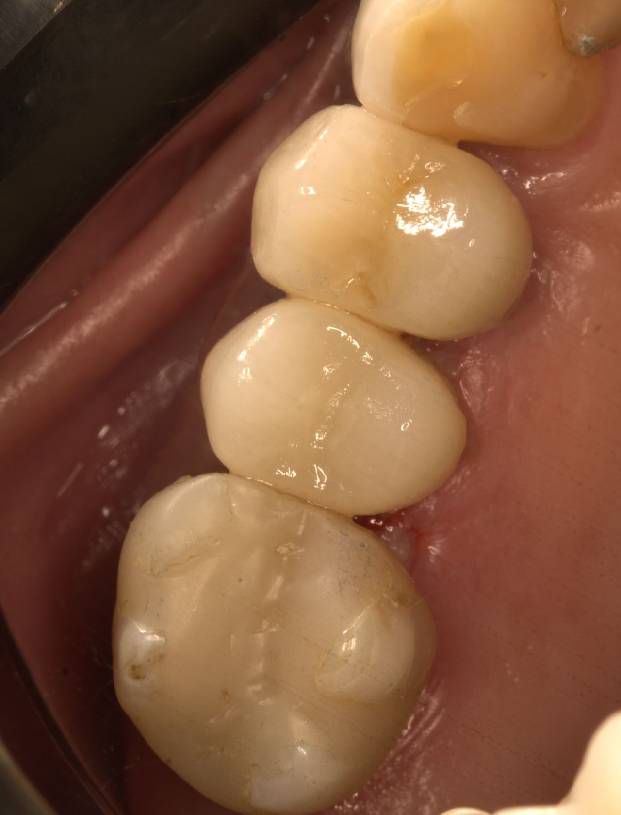 Cassia Cestari Toia-16