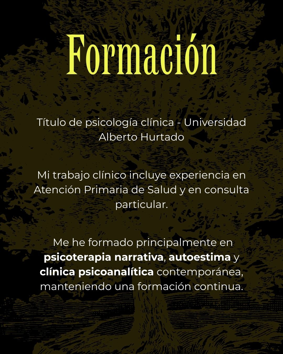 Vicente Maximiliano Martínez Cobo-3