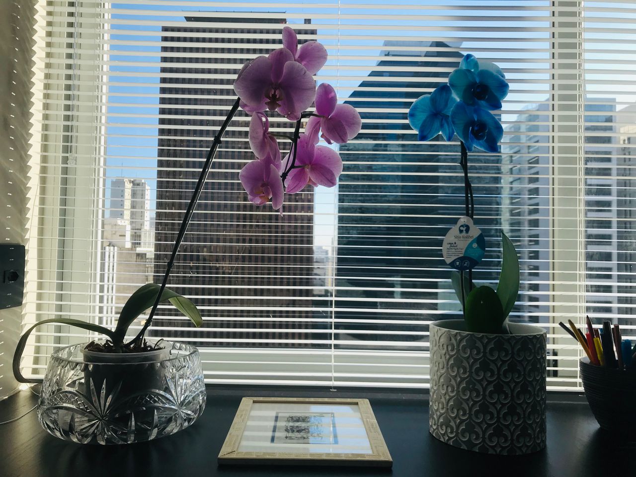 Geilson Lima Santana Junior-4