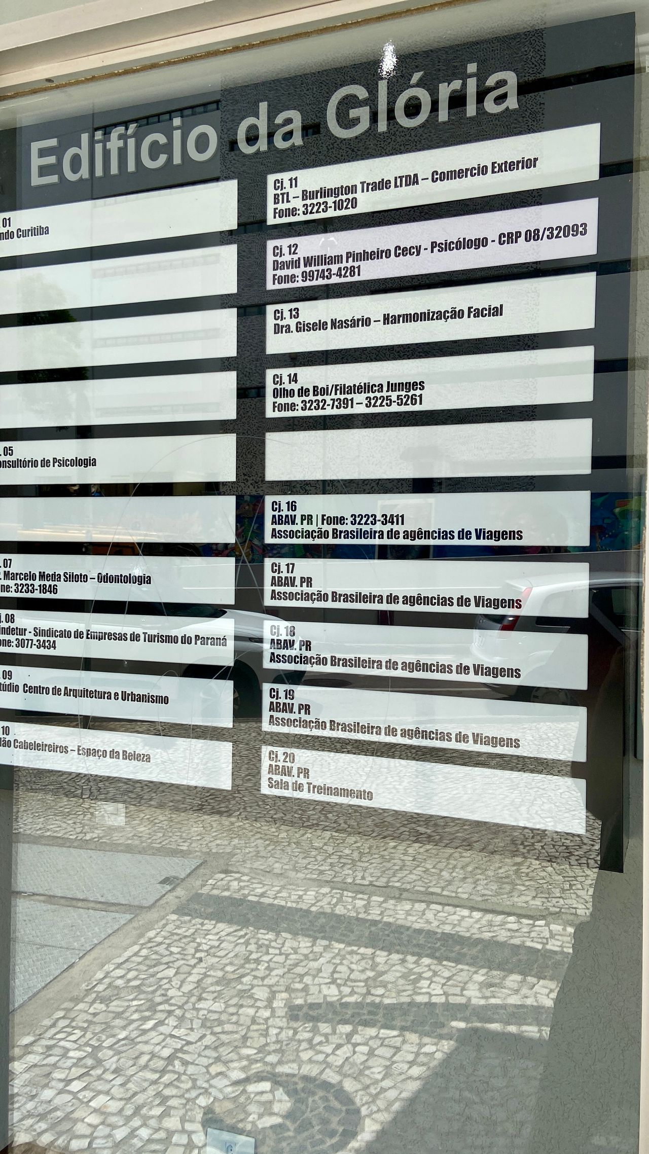 David William Pinheiro Cecy-11