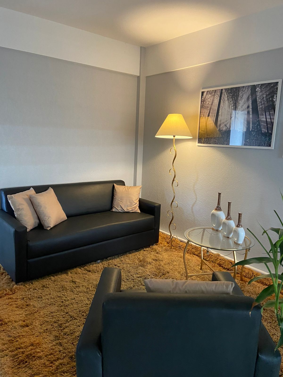 Alexandre Salina De Freitas-0