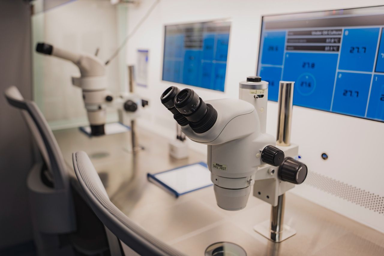 Exame Laboratorial -6