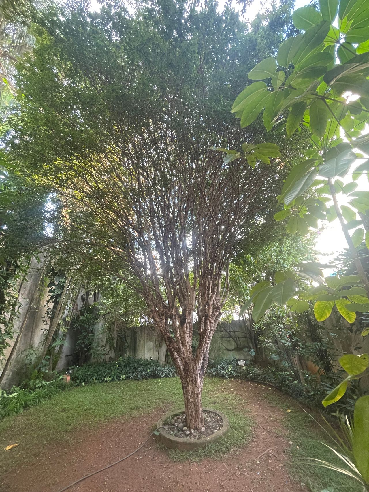 Fernanda De  Paula-6