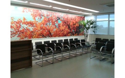 Laryssa De Cássia Ferreira-2