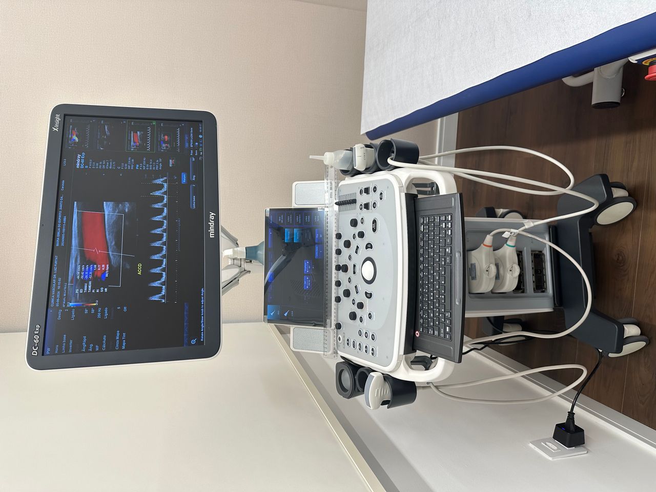 Luiz Carlos Furtat Jr-3