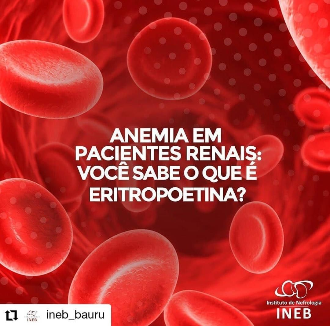 Elizabete Campos Pinheiro-4