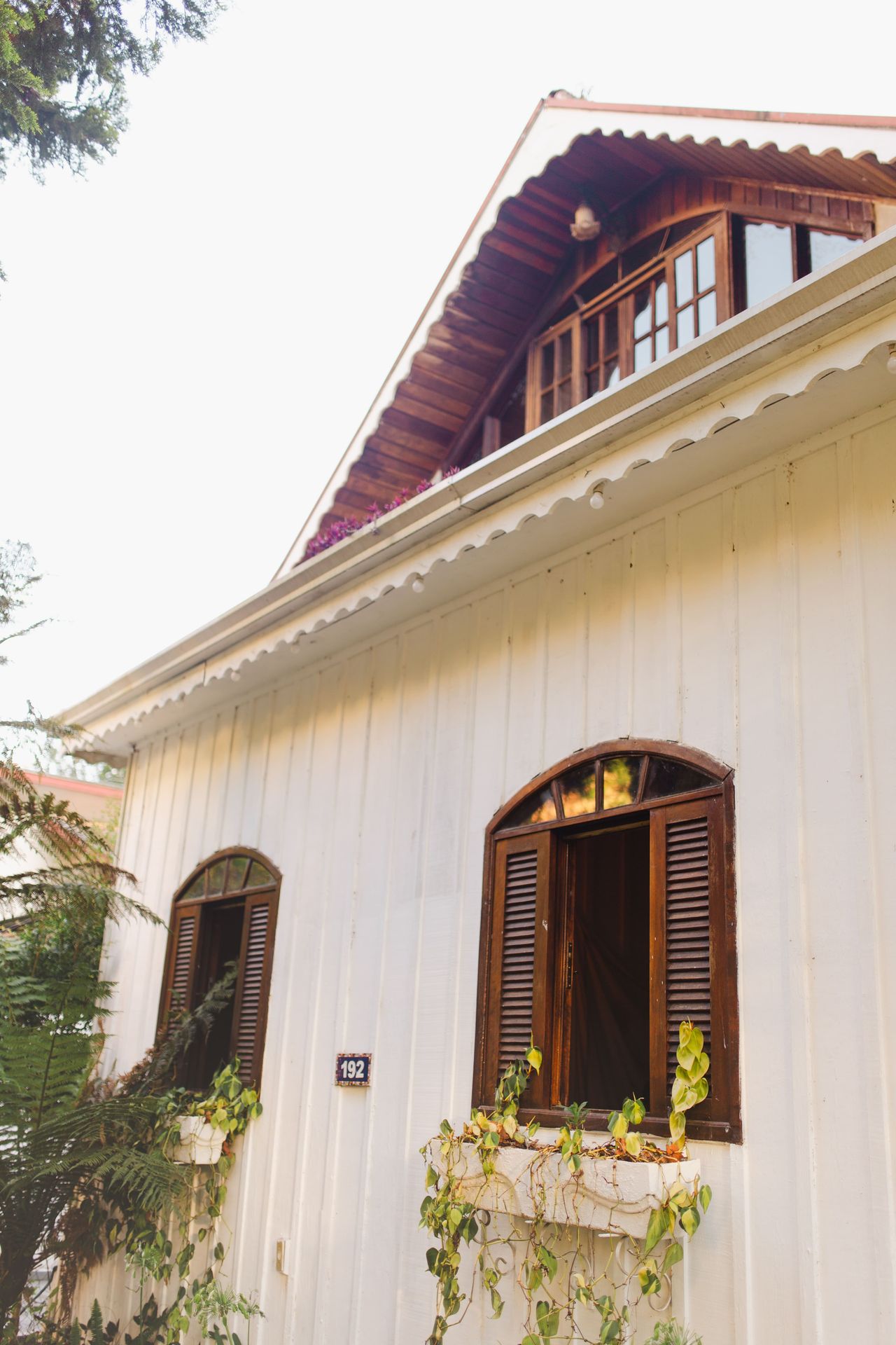 Bárbara  Backes Ferreira-0