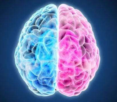 Altair Barbeta Moriyasu-0