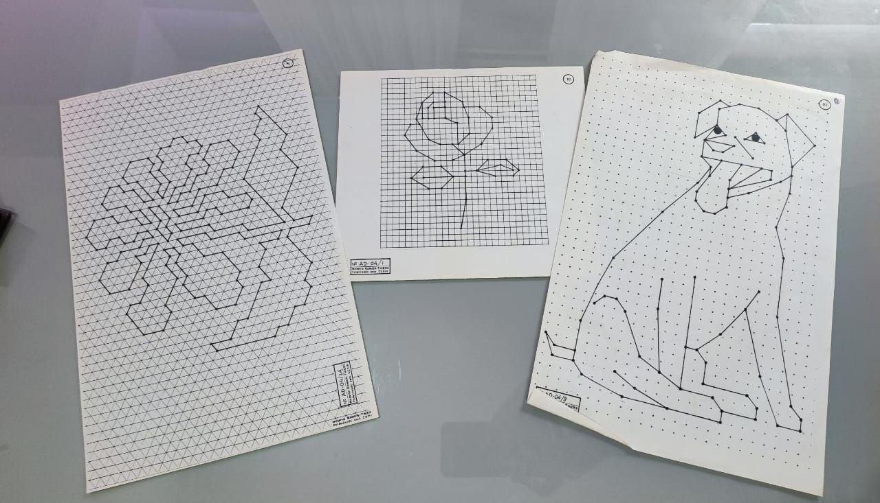 Doroteia Murcia Souza-7