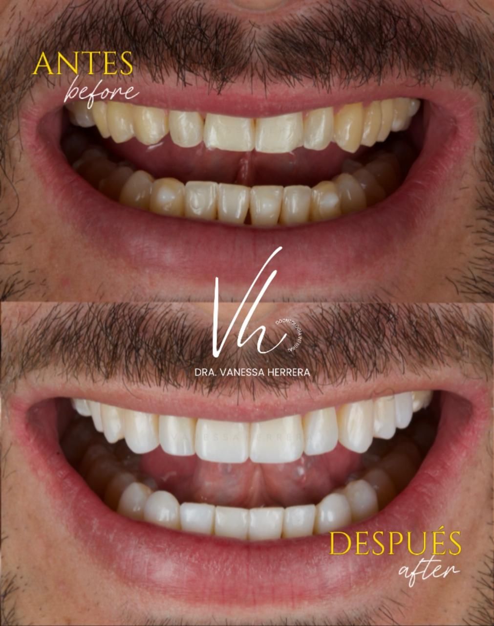 Vanessa Herrera Diaz-4