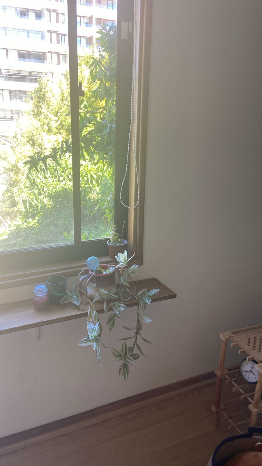 Alicia Cuende Oyarzabal-2