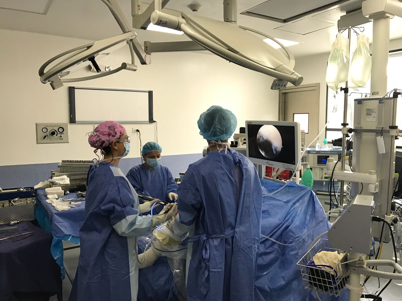 Paula Andrea Sarmiento Riveros-8