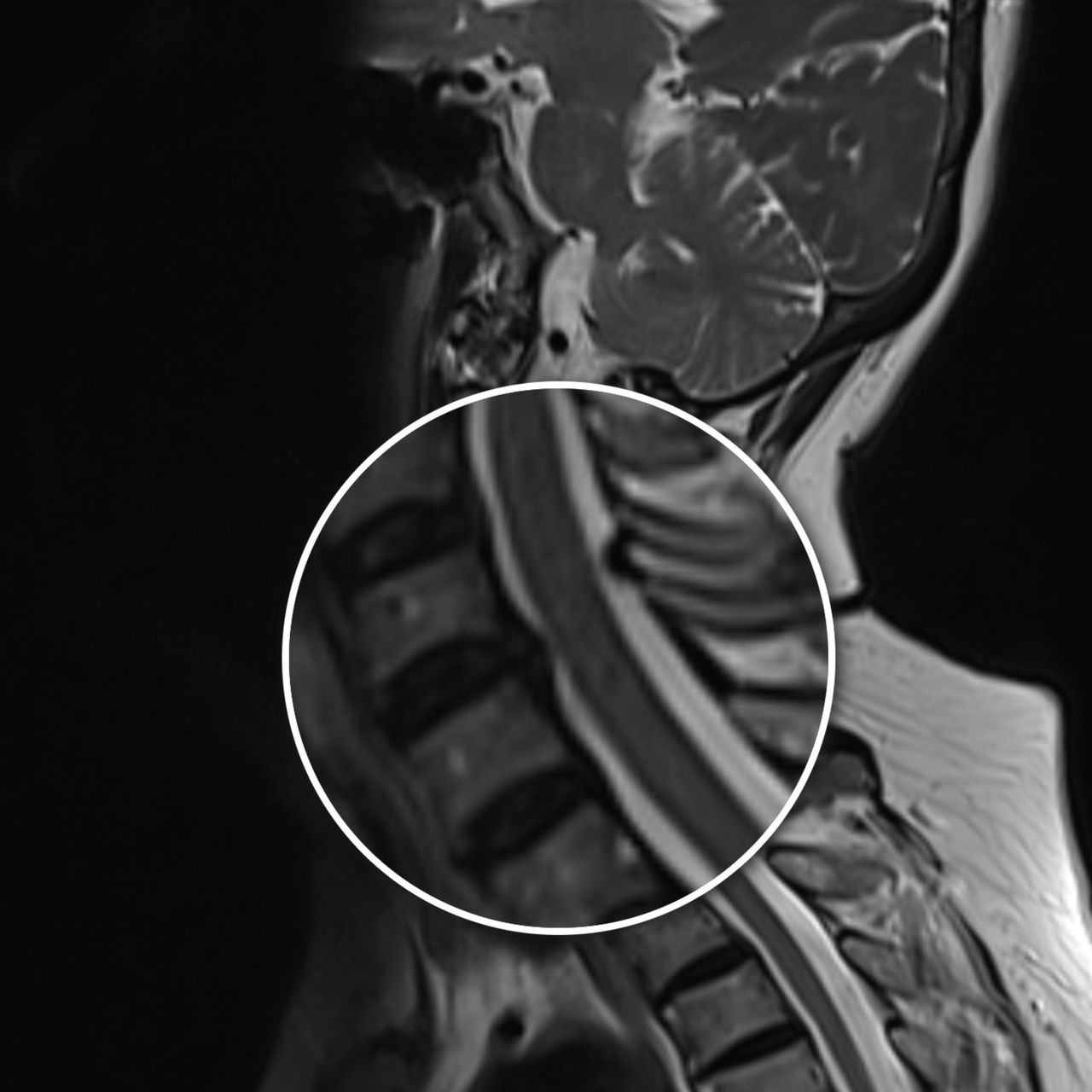 David Tafur Muñoz-1864