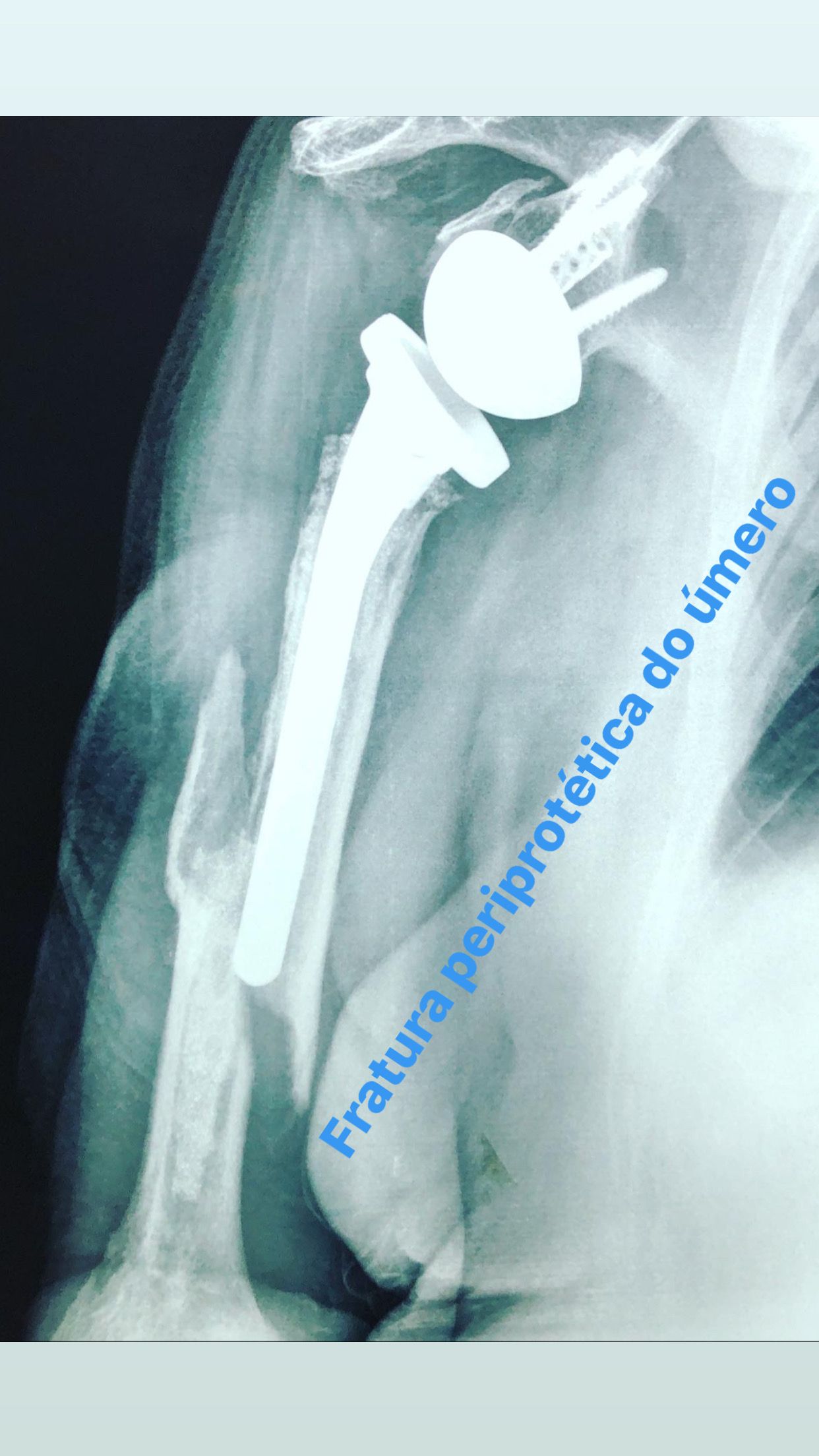 Rodolpho Rabello Pedrosa Costa-10