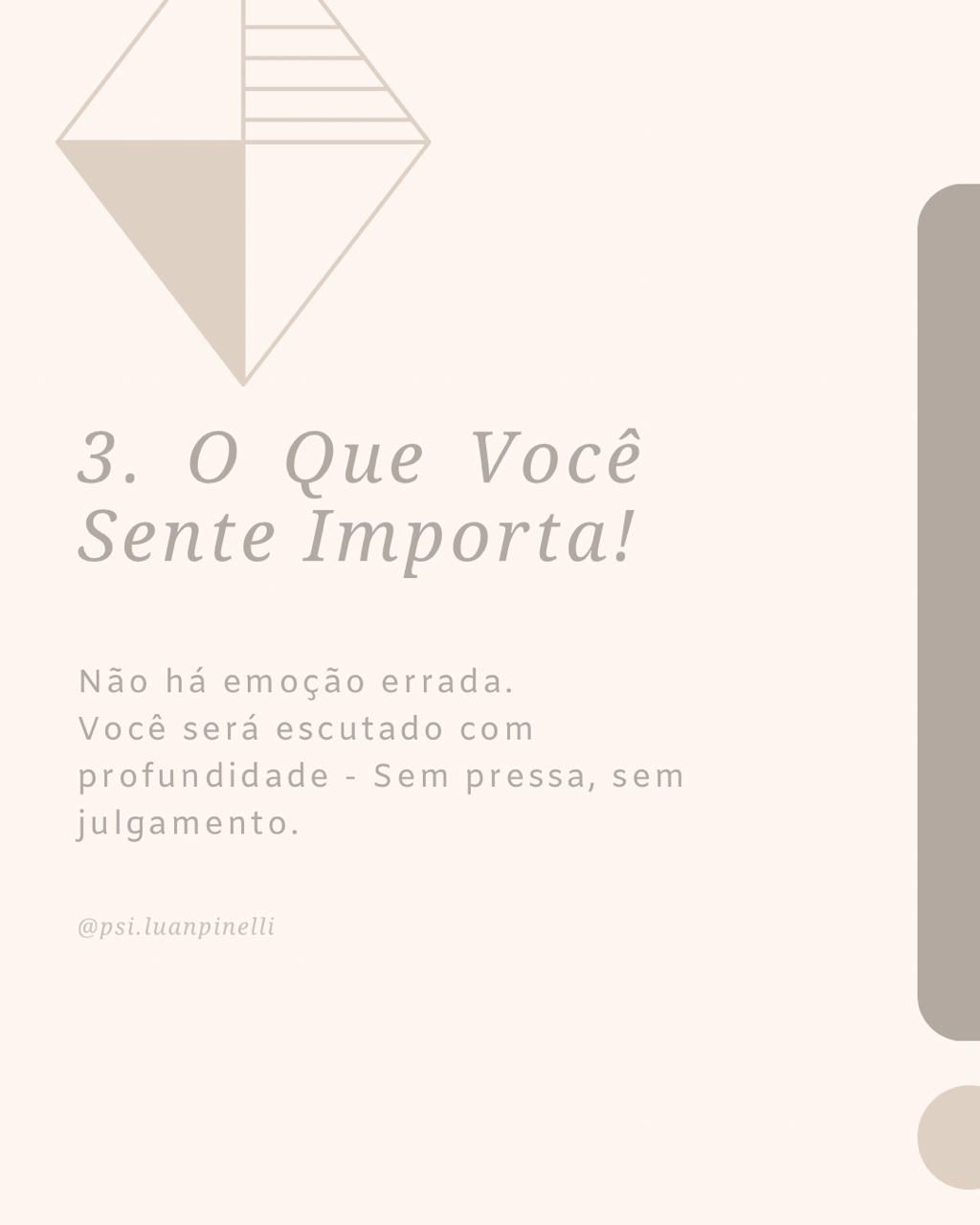 Luan Aparecido Vieira Pinelli-3