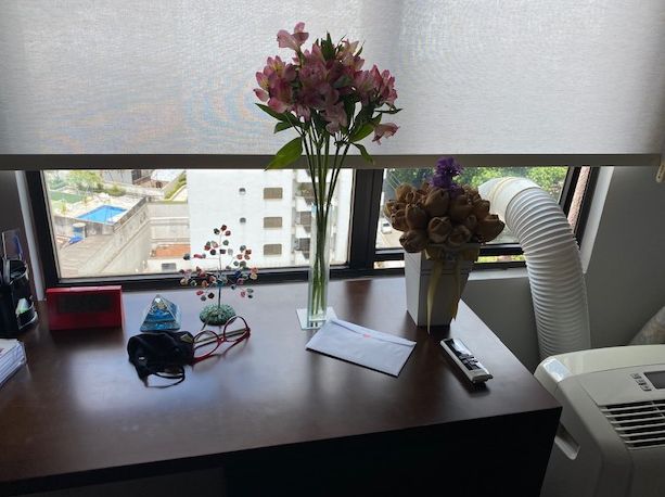 Regina De Lourdes Marcellini Giannini-7