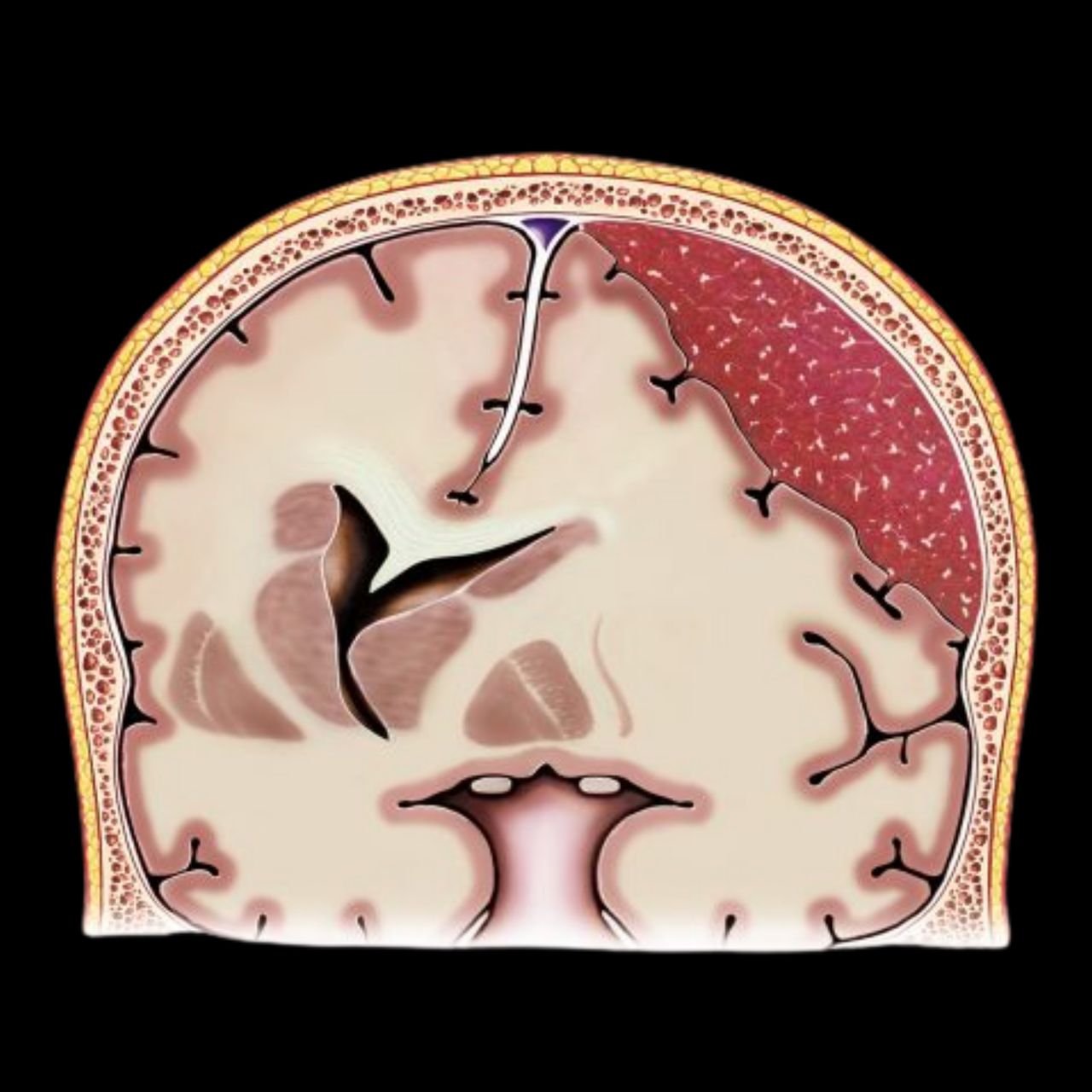 David Tafur Muñoz-2479