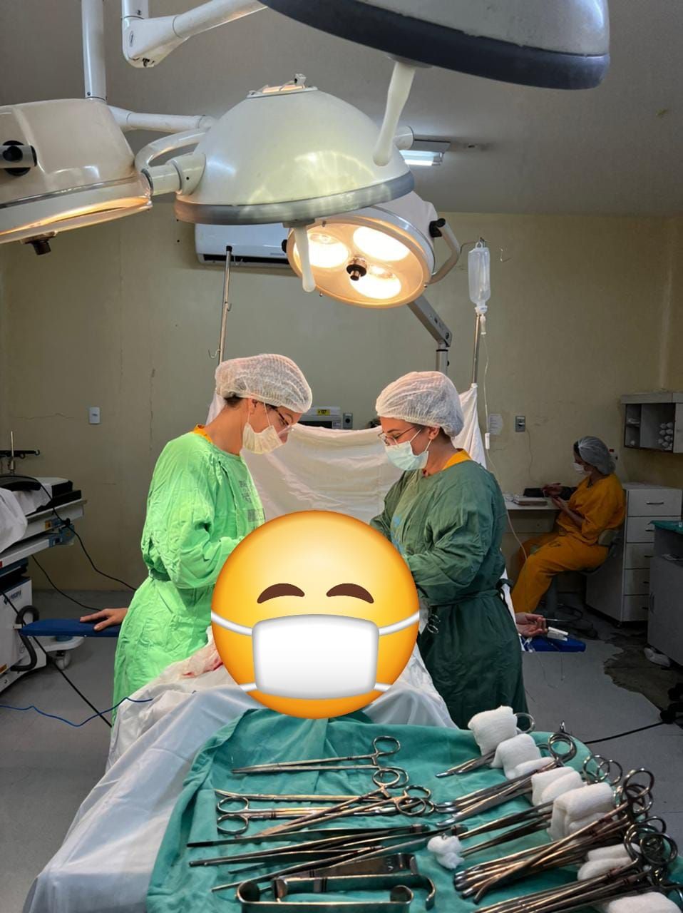 Roberta  Lima Santos De Souza-8