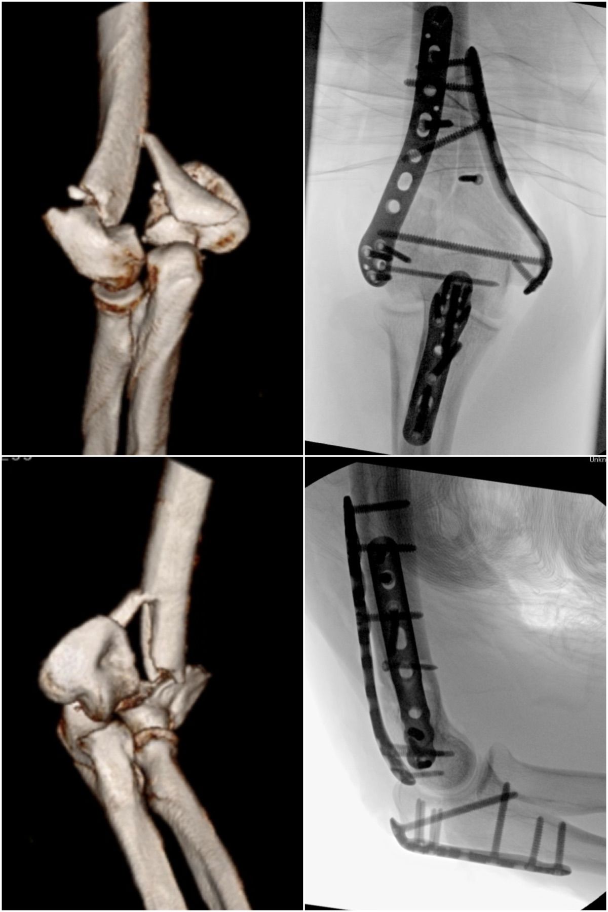 Carlos Moreno Castillo-9